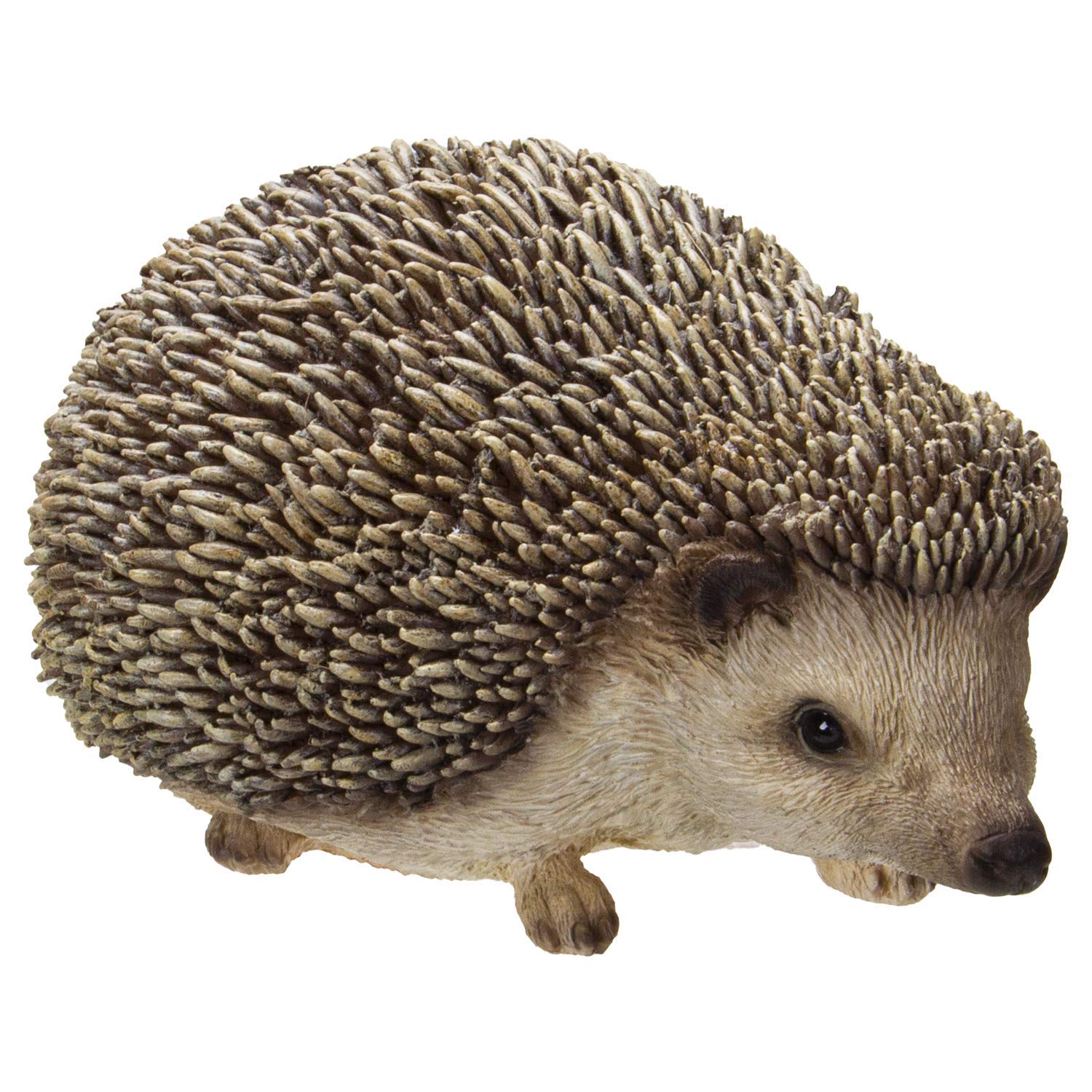 Amazon.co.jp: Pacific Giftware 本物そっくりの可愛らしいハリネズミ